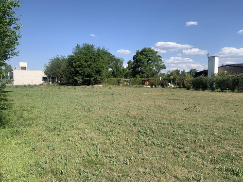 Terreno De 1400m2 En Los Buhos Roldan