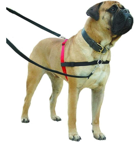 Arnés Halti Front Control. Talla M. Antijalones. Para Perros