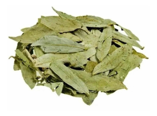 Sen Hoja 1 Kilo