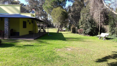 Imagen 6 de 14 de Vende Financia Permuta Quinta 4500 M2 Casa 4 Amb - Olivera