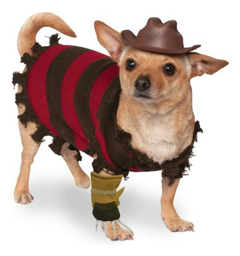 Disfraz Freddy Krueger Para Mascotas Es La Respuesta.