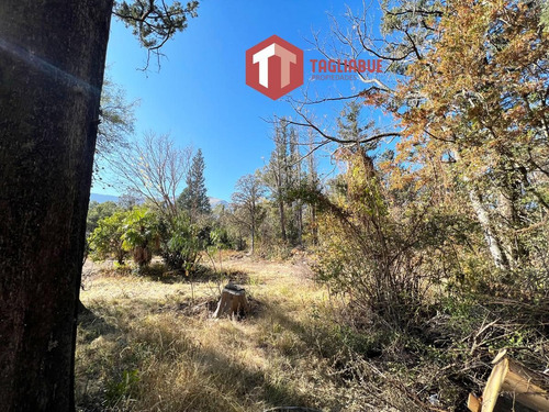Imagen 5 de 5 de Terreno - Piedra Blanca Arriba