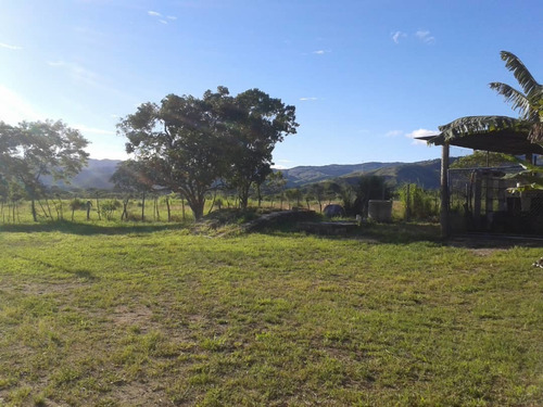 Imagen 5 de 5 de En Venta Finca Salon Via Bejuma/ En Buenas Manos
