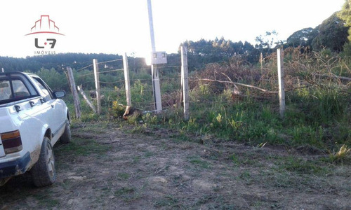 Imagem 4 de 8 de Terreno À Venda, 20000 M² Por R$ 450.000,00 - Areia Branca - Mandirituba/pr - Te0139