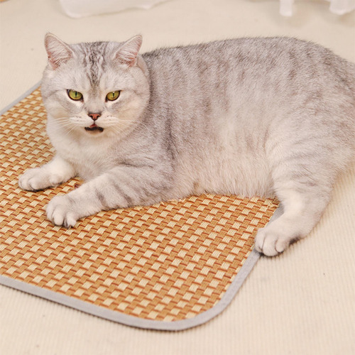 Estera Autoenfriante Para Perros, Cojín Para Gato,