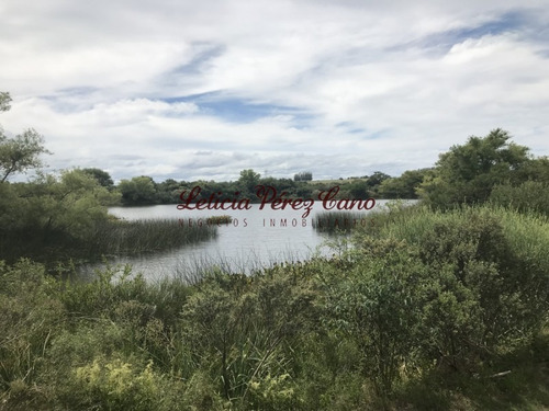 Venta De Chacra Sobre Ruta 9 A 30 Km De Jose Ignacio- Ref: 17546