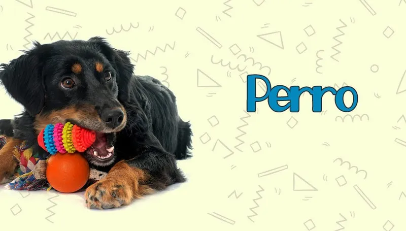 Perros
