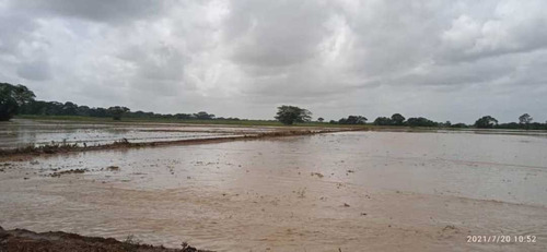 Imagen 21 de 28 de Finca En Venta Guarico