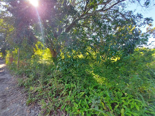 Venta Terreno 1538 M² Col. Juana Moza Tuxpan Veracruz