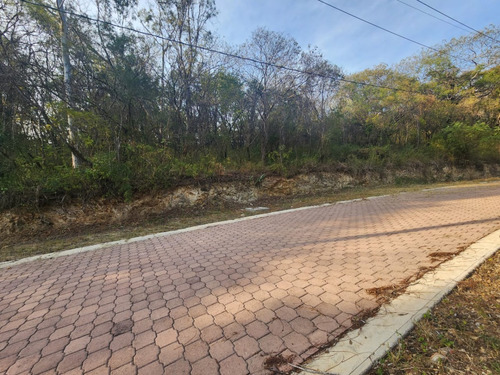 Venta Lote Gladiola 32 En Calle Privada De Nueva Zona De Fracc Rancho San Diego Ixtapan De La Sal Edomex Con Todos Los Servicios Y Vistas Panorámicas.