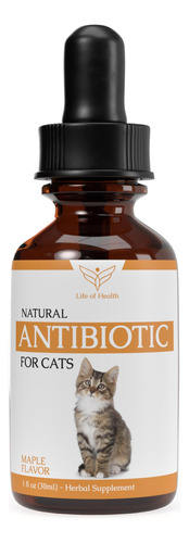 Antibioticos Naturales Para Gatos - Antibioticos Para Gatos