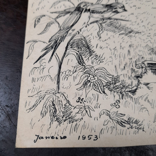 Imagem 2 de 6 de Desenho Nanquim Bico De Pena Datado 1953 Antigo Sem Moldura