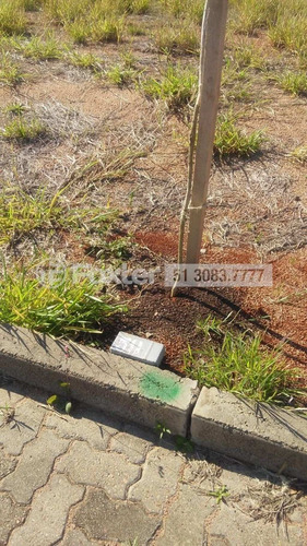 Imagem 11 de 21 de Terreno, 229.5 M², Campo Novo - 190370