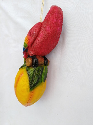 Imagen 4 de 5 de Guacamaya, Macetero Colgante De 40 Cm.