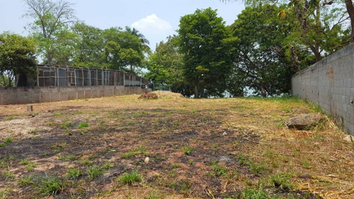 Imagen 3 de 6 de Residencial Terreno En Venta