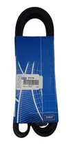 Comprar Correa Accesorios Poly-v Skf Peugeot 206 1.6 16v 02\u002F09