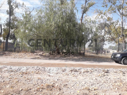 Imagen 2 de 5 de Alquiler Terreno En Acceso Sury Paso