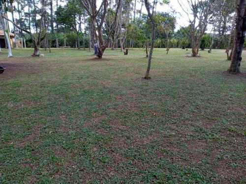 Imagem 8 de 15 de Sítio-à Venda-centro-biritiba-ussu - Bisi40002