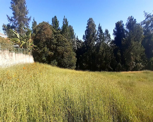 Imagem 3 de 12 de Terreno Condomínio Recanto Santa Bárbara - Jambeiro - Te00047 - 69580031