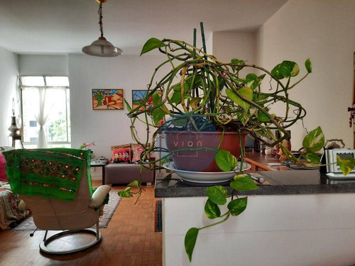 Imagem 3 de 8 de Apartamento Com 2 Suítes À Venda, 106 M² Por R$ 680.000 - Perdizes - São Paulo/sp - Ap0274