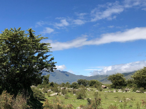 Terreno En Venta En Tafí Del Valle