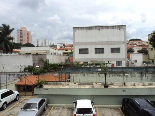 Imagem 3 de 30 de Apartamento Residencial À Venda, Andar Baixo, Com Renda Alugado, Avenida São Remo, Butantã, São Paulo - Ap15012. - Ap15012