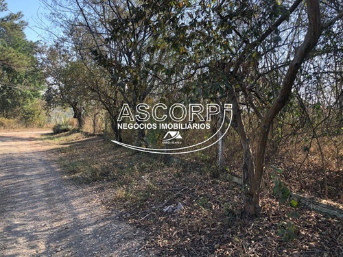 Imagem 14 de 22 de Ótimo Terreno Para Chácara No Ondinhas Em Piracicaba (código Ch00043) - Ch00043 - 69881080