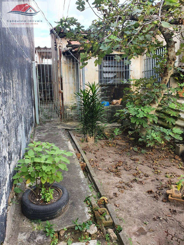 Imagem 6 de 15 de Terreno 293m² Excelente Localização - Vila Augusta - 78