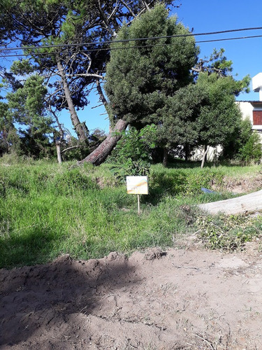 Lote En Venta Zona Centro