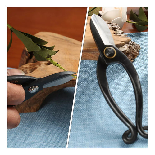 Tesouras De Poda Com Tesoura Ikebana Cor Relógios De Pulso