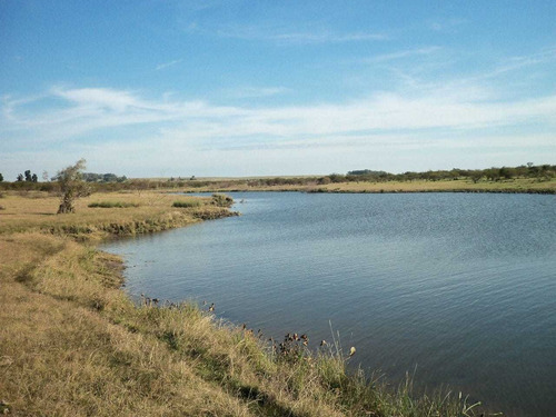 Muy Buen Campo Con Costa Al Río Negro