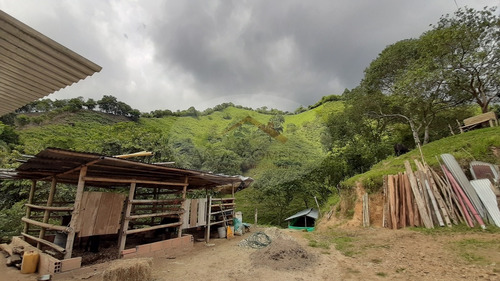 Imagen 23 de 24 de Ibagué - Finca Turística En El Salado, $ 550.000.000