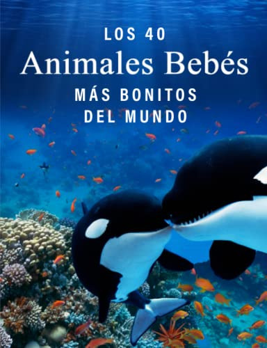 Los 40 Animales Bebes Mas Bonitos Del Mundo: Un Libro De Fot