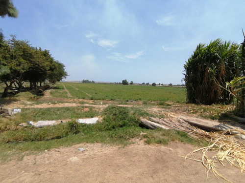 Terreno 3.60 Hectáreas En Agua Santa San Clemente De Pisco