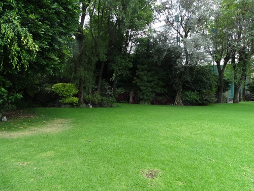Imagen 3 de 8 de Privada 4,045m2 En Venta Con 4 Casas Jardines Del Pedregal