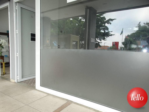 Comercial/industrial - Ref: 206445
