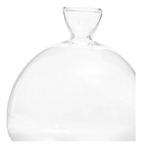 # Florero Inicial De Semillas De Aguacate Transparente,