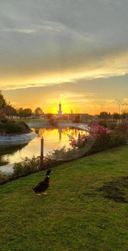 Terreno En Venta En El Faro De Los Cisnes Corregidora Querétaro