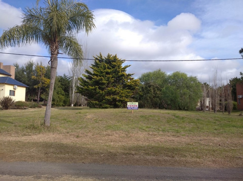 Imagen 8 de 12 de Venta Lote Solares Carcaraña 1