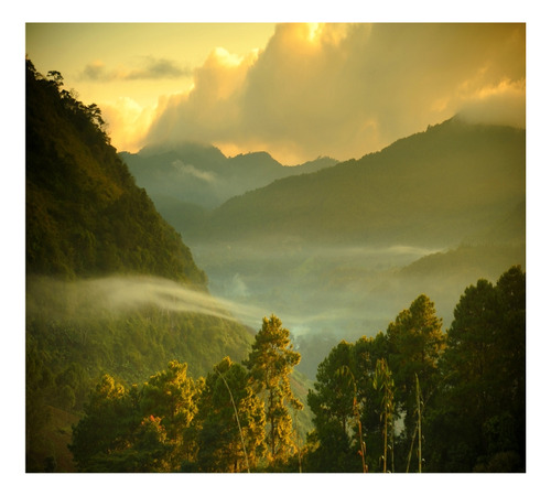 Adesivo Paisagem Montanhas Papel Parede Floresta Gg396