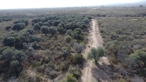 Terreno En San Javier Córdoba Traslasierra Lotes Venta