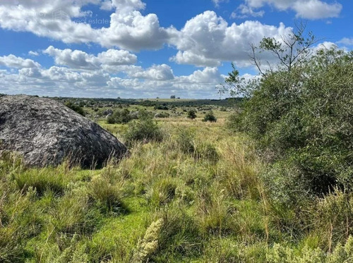 Imagen 13 de 15 de Campo Ganadero En San Jose De 126 Ha, Sierra De Mahoma, Ganadero