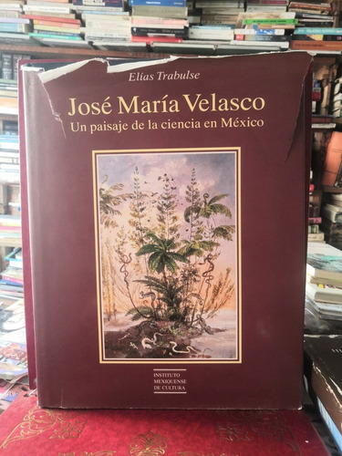 José María Velasco    Un Paisaje De La Ciencia En México 