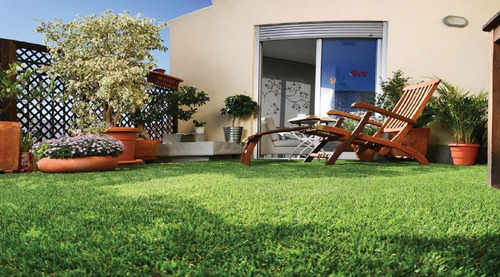 Imagen 2 de 7 de Césped Sintético Premium 35mm Muebles Y Cosas