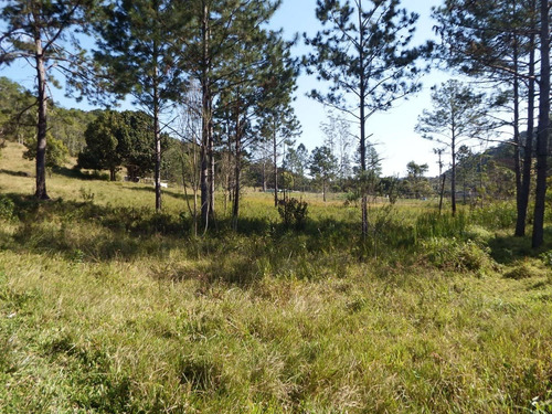 Imagem 15 de 19 de Sítio À Venda Em Juquitiba Com Lago Piscina 56.000 M²