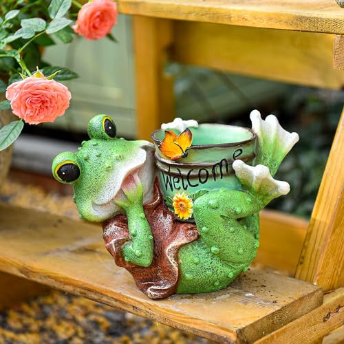 Maceta Para Suculenta Con Estatua De Rana Adorno Jardín