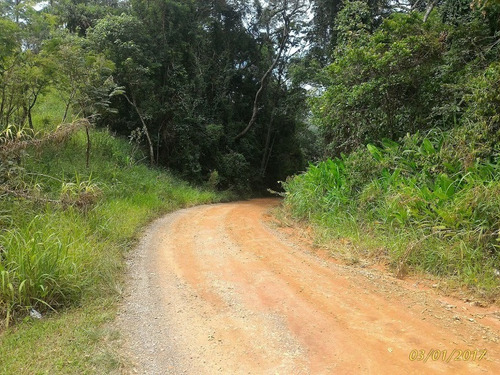 Imagem 5 de 12 de Vende Área Industrial Rodovia Presidente Dutra-sp 179.000m2