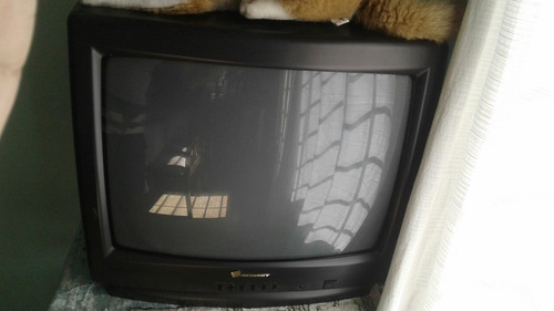 Televisor Regency 21 - Exelente !!!