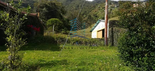 Imagen 4 de 8 de En Venta Casa Con Galpon, Tabay, Merida, Vzla