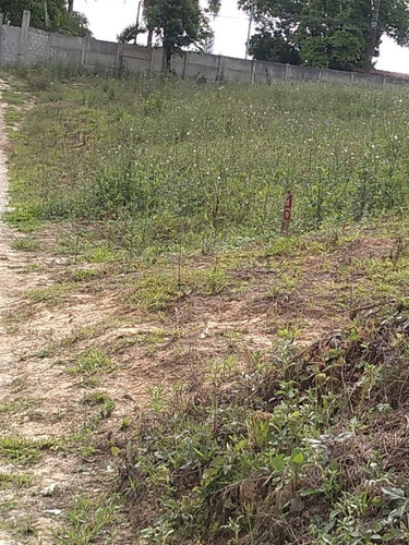 Imagem 2 de 7 de Terreno - Te00033 - 34561289